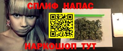 индика Жуковский