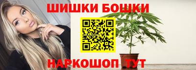 индика Жуковский