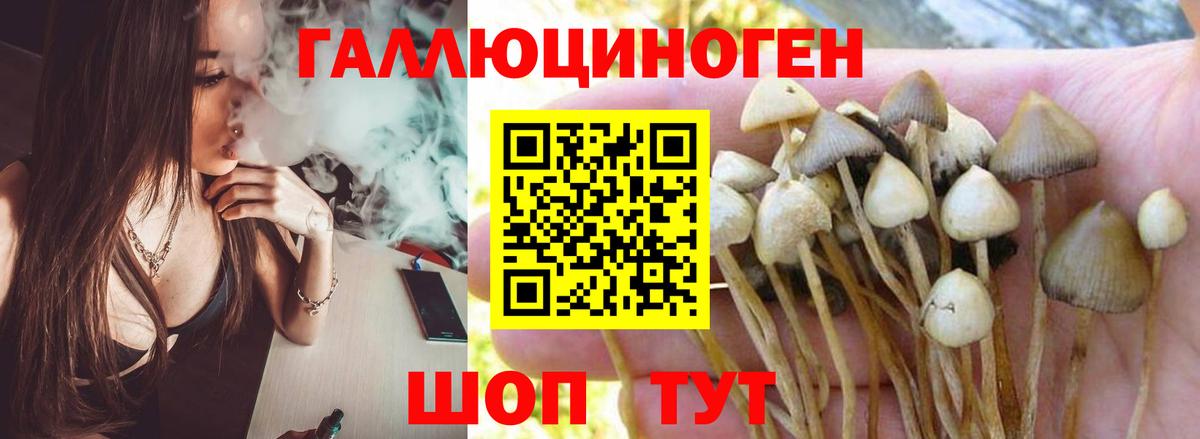 ГЕРОИН  МЕТАДОН  Сколько стоит  Альфа ПВП СОЛЬ   Вход с VPN  Мыски  Меф МЯУ МЯУ кристаллы  Каннабис  Cocaine 