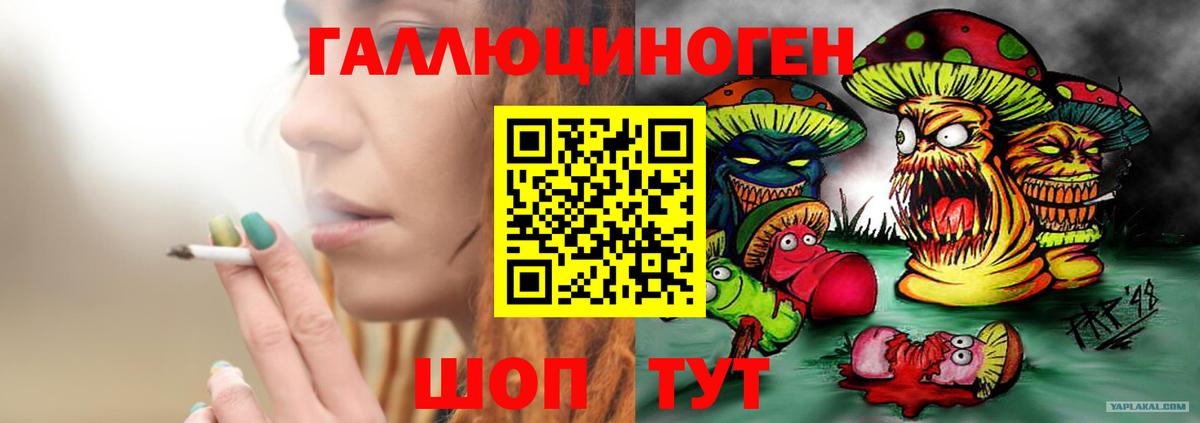 где можно купить наркотик  Псилоцибиновые грибы Psilocybine cubensis  Псилоцибиновые грибы мухоморы  Вход с VPN  Мыски 